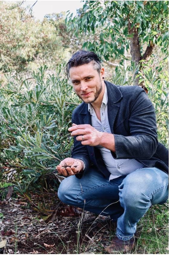 Using ‘white noise’ to stimulate soil and ecosystem recovery