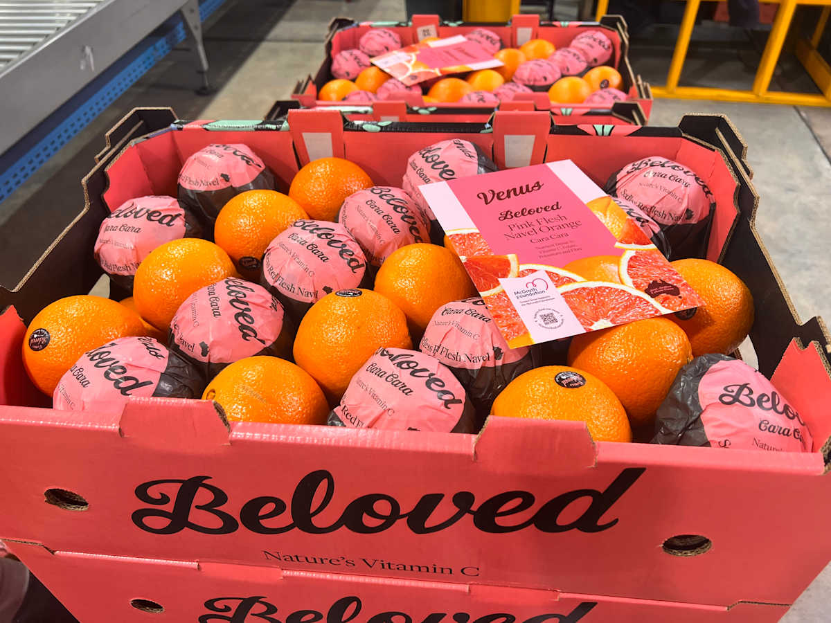 Squeezing to perfection at Venus Citrus