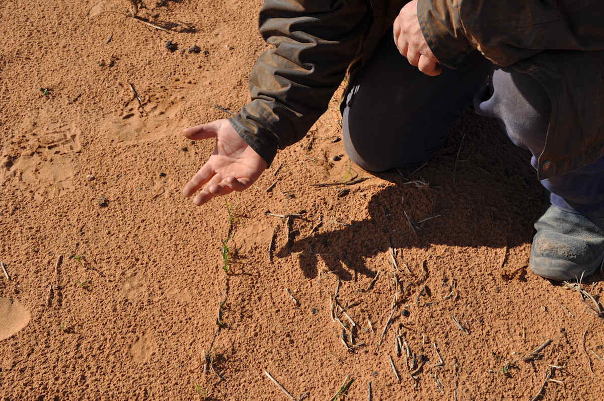 Paschke’s frontline farming battle