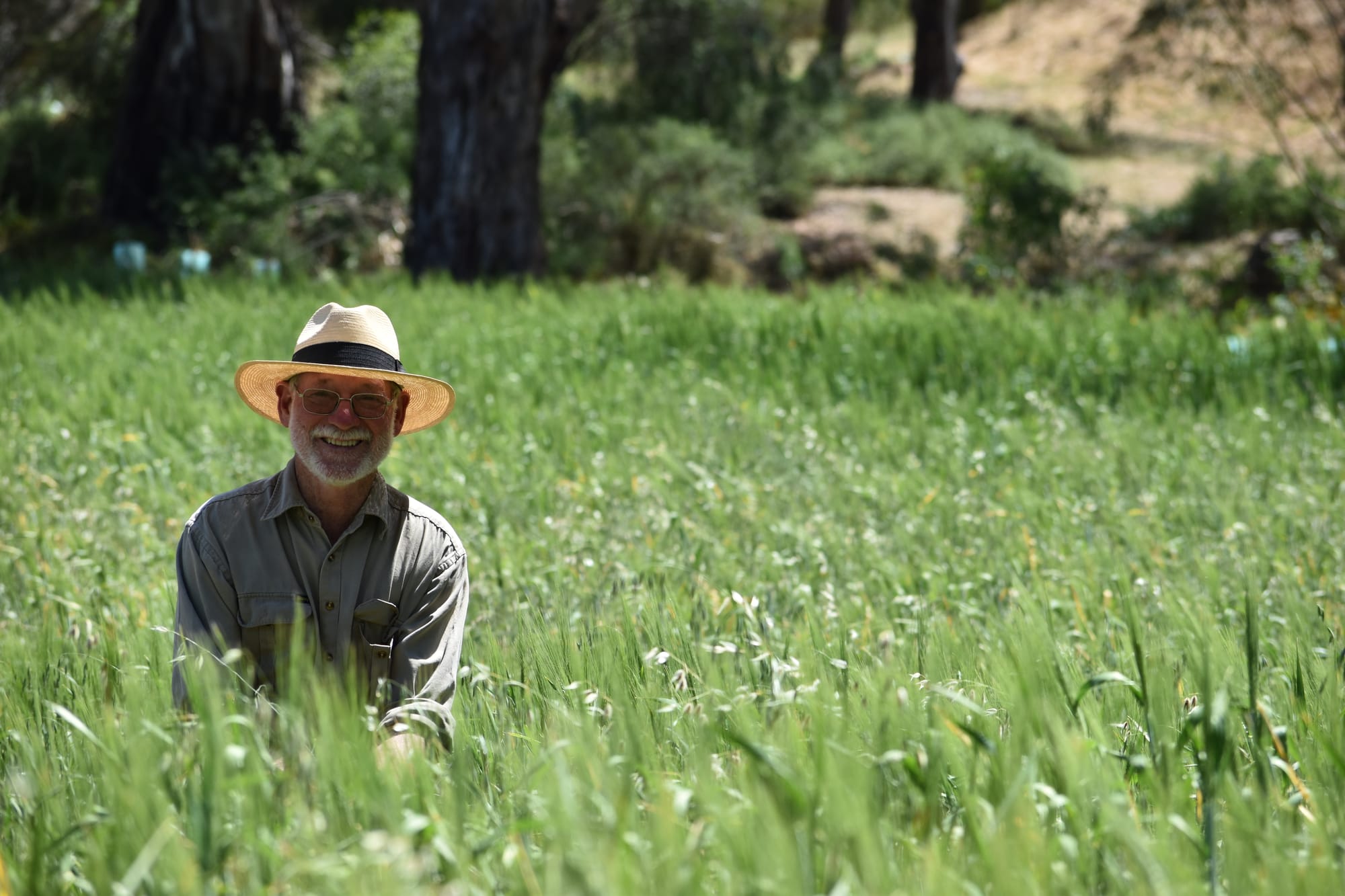Sowing sustainability: The Food Forest’s eco-friendly farming revolution