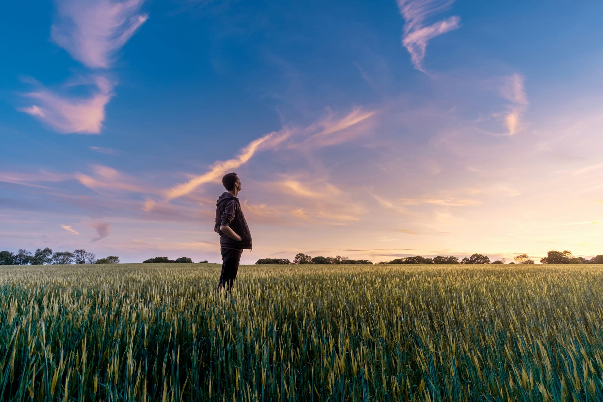South Australian farmers finish 2023 on more positive note