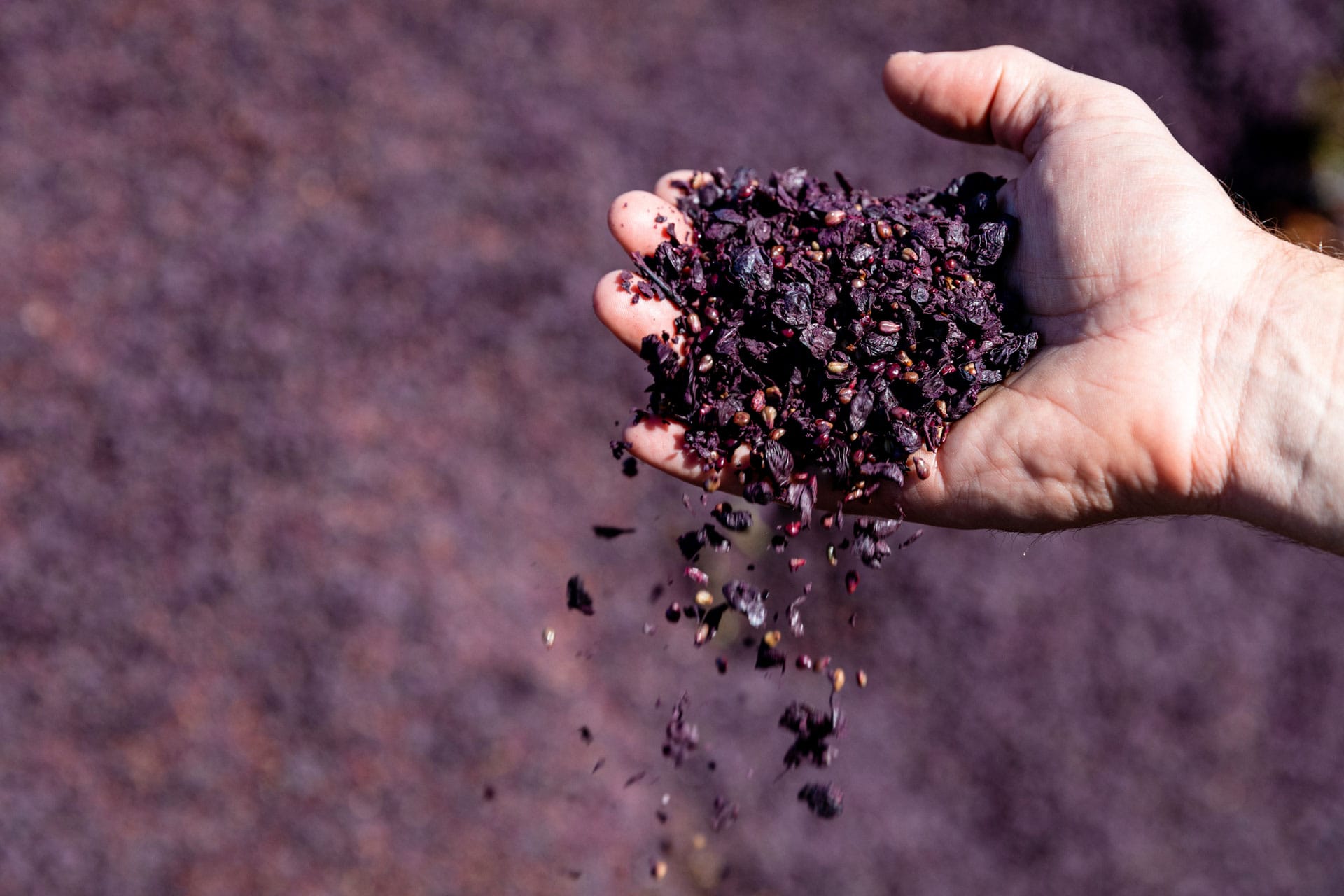 Aussie wine gets a $1.8 million boost