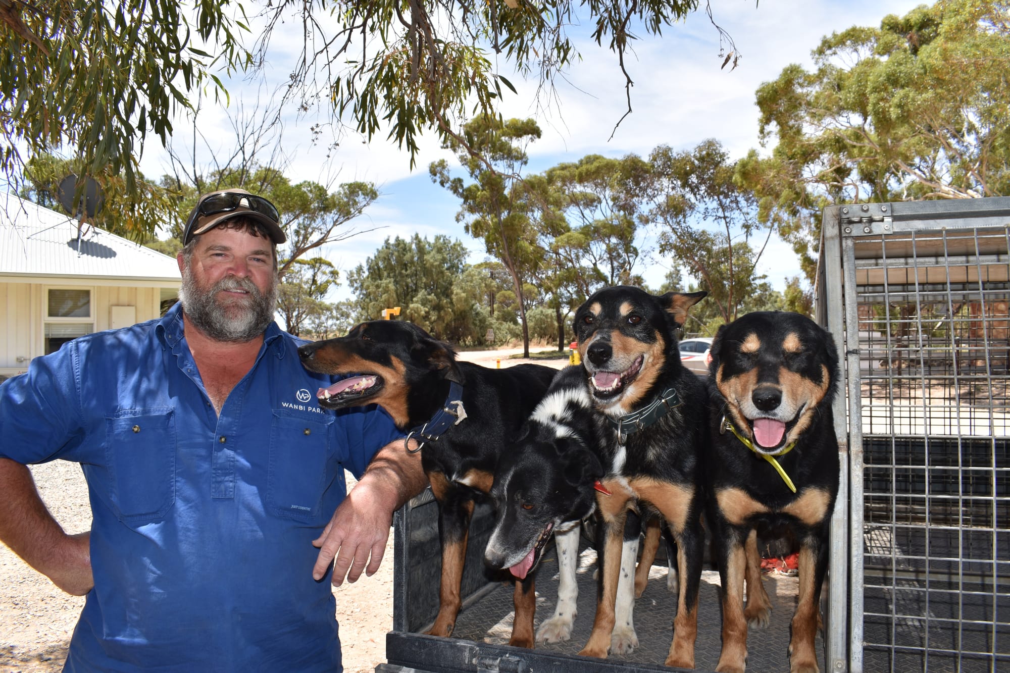 Teaching young dogs new tricks… Lee’s right-hand men
