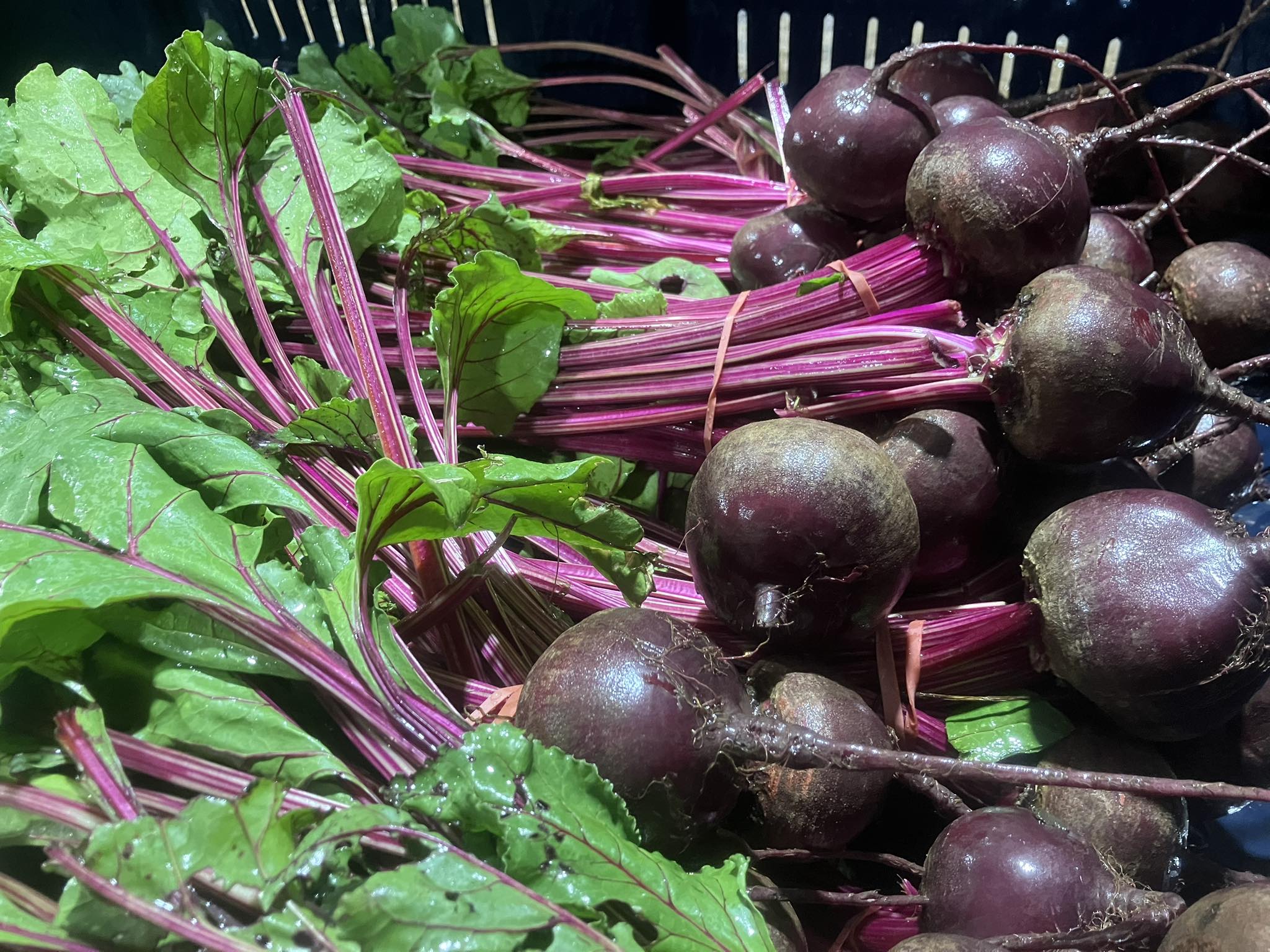 From the family fields to your fork