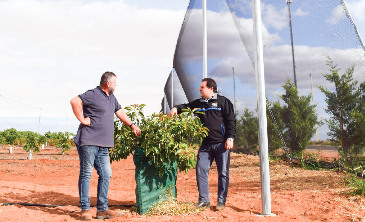 In wind, hail and sunshine: Net gain for horticulture