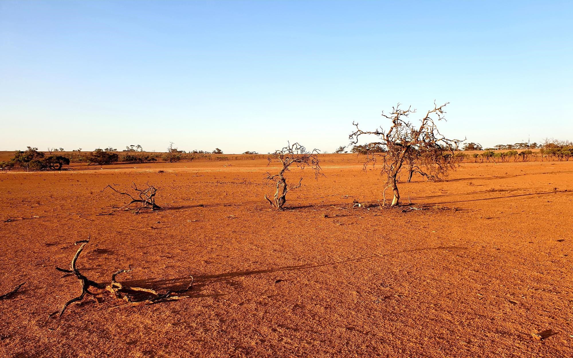 Practical podcasts for drought preparedness