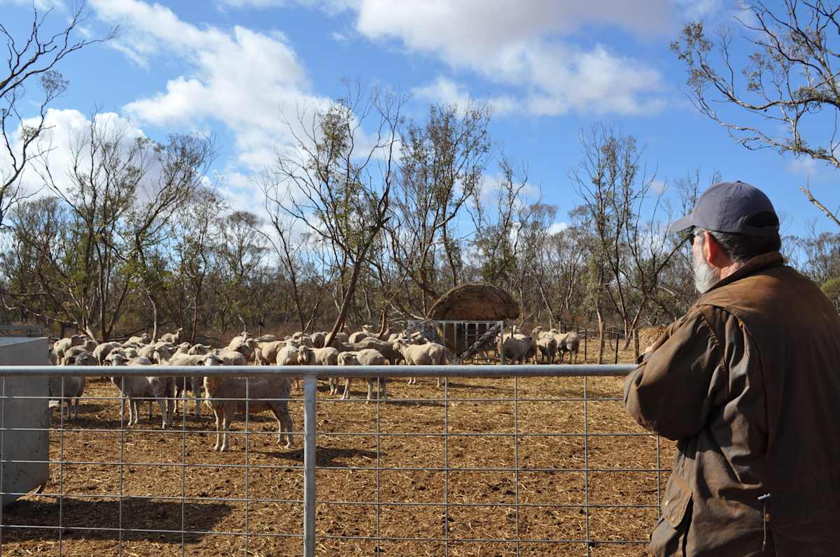 Paschke’s frontline farming battle