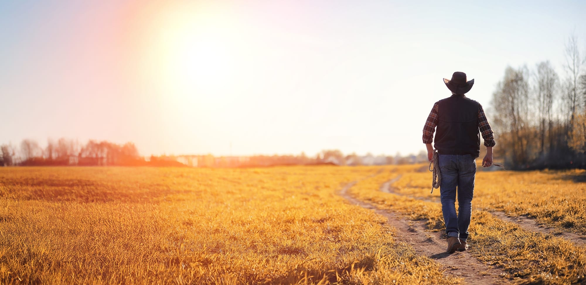 SA drought devastating farming communities
