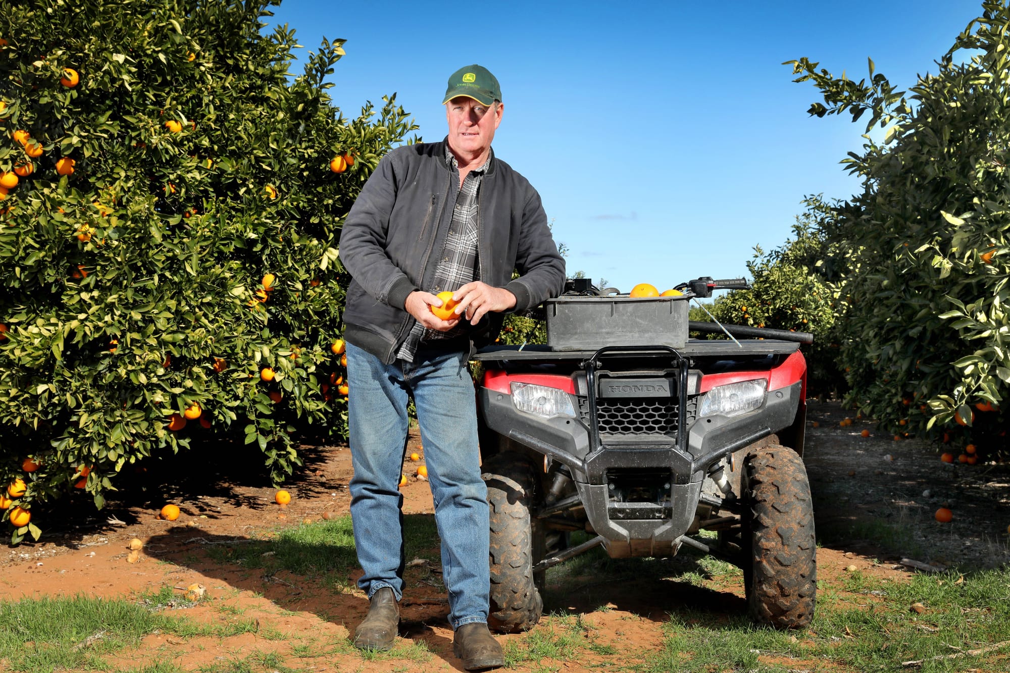 Industry Expert: Mark Doecke - Citrus SA chair