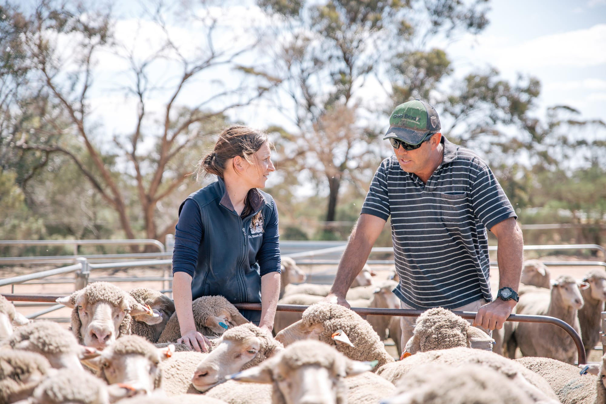 Support in a drought crisis