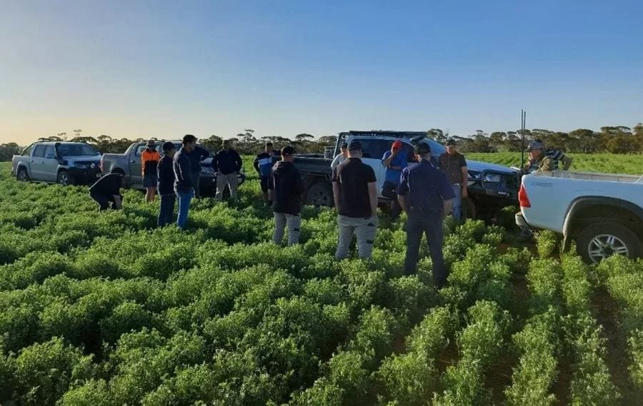 Farming systems in focus: early sowing, legumes, and long-term fertility