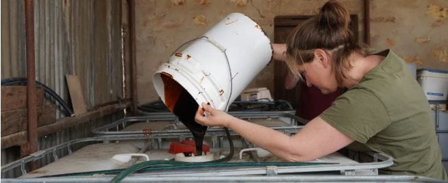 How to make the most of biofertilisers