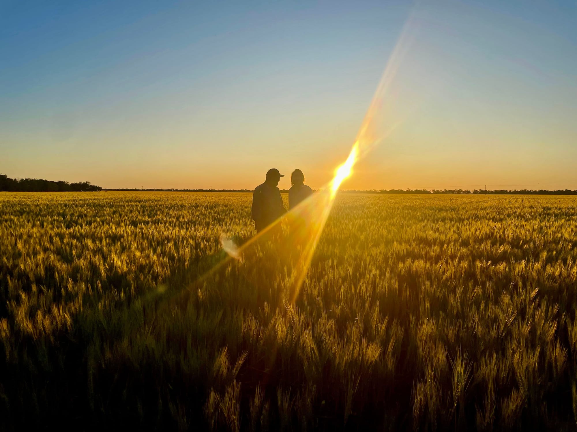 GrainGrowers launches workforce resources hub