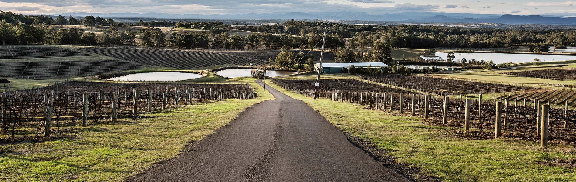 Wine exports not immune to global trends