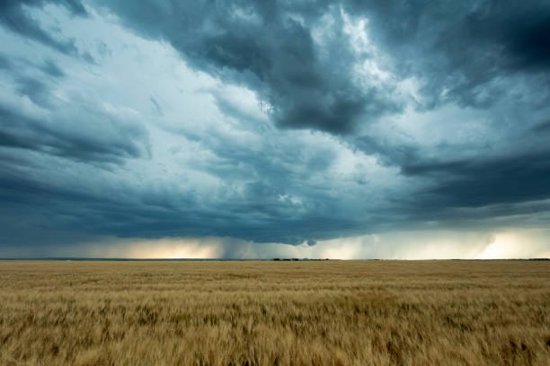 Agriculture booms despite flooding post image