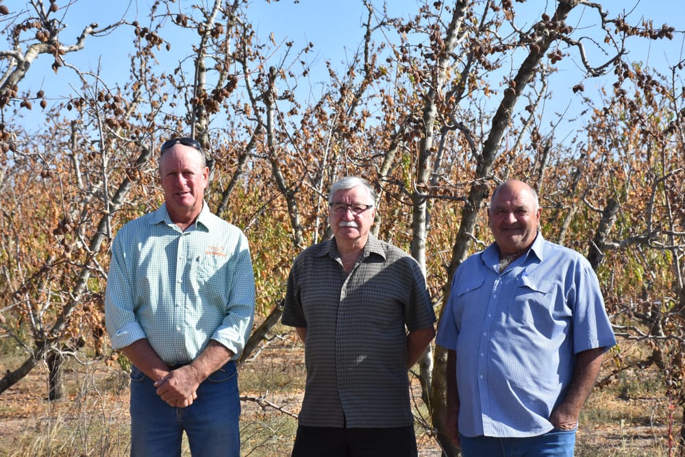 Local growers, mayor, react to federal Labor’s water policy… (Buy) Back-off post image