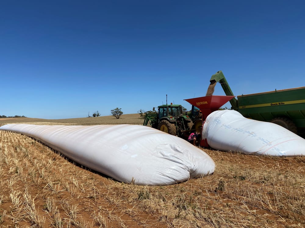 GPSA project exploring options for grain silo bags post image