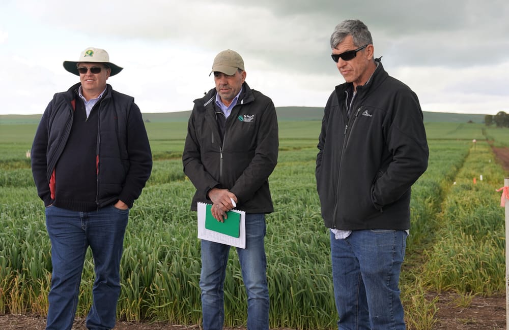 Co-investment model boosts SA grains research outcomes post image