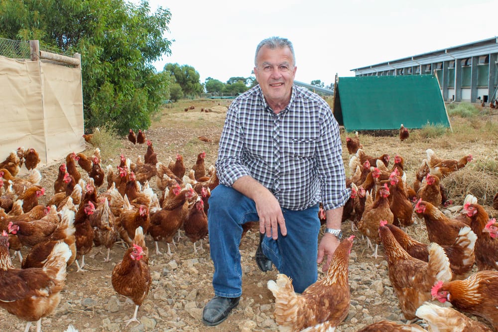 Dawn of sustainable Day for egg industry post image