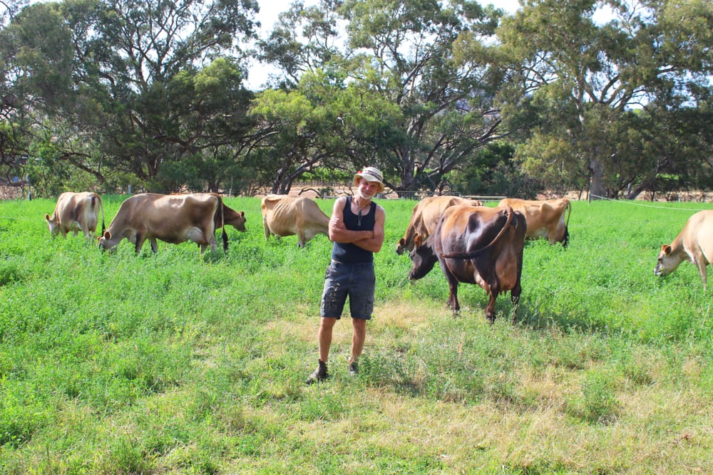 Old-school mixed farming the key to Michael's success post image