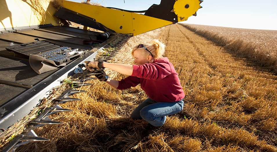 Snapshot shows agricultural workforce changes post image