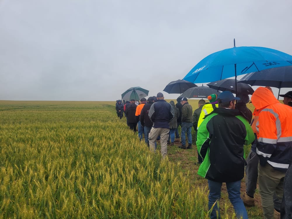 Mallee farmers take Crop Walk win post image