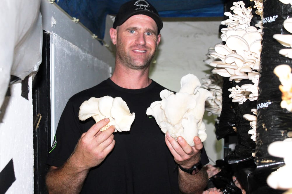 Growing gourmet mushrooms out of a garage post image