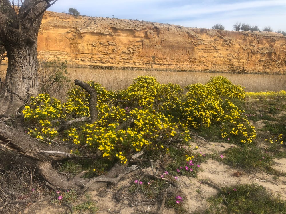Landscape board offering local weed support post image
