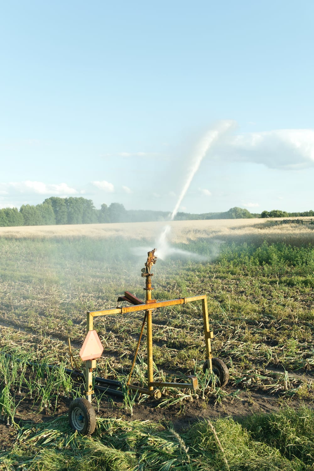 Is water-saving tech actually saving water? post image