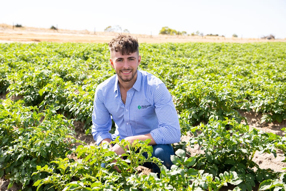 Farmer by name, farmer by nature for family-owned Aussie potato dynasty post image