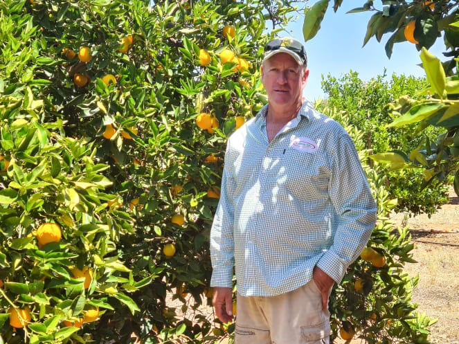 Industry expert update: Mark Doecke post image