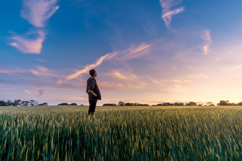 South Australian farmers finish 2023 on more positive note post image