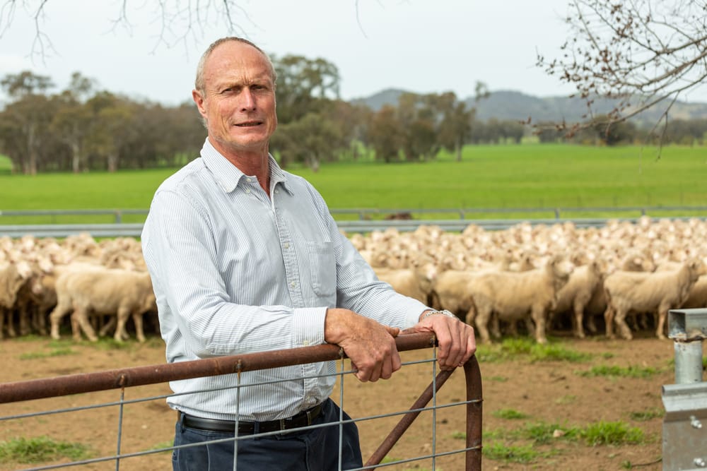 Rural partnership continues to build mental health support post image