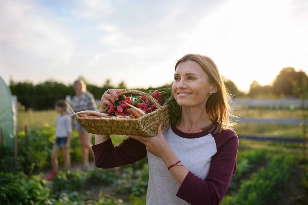 Winter gardening in the Riverland: The best fruits and veggies to grow post image
