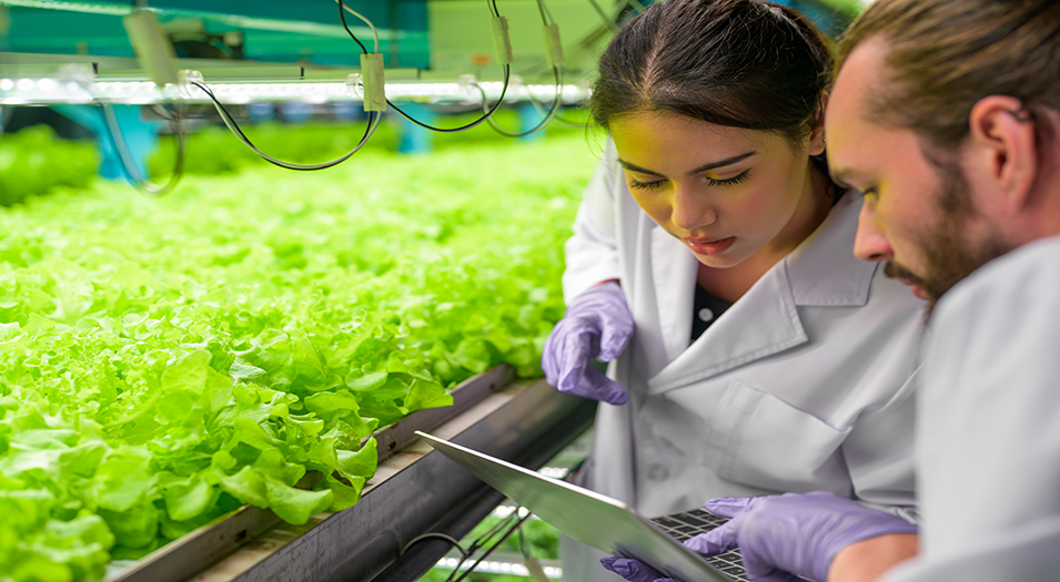 Agricultural research and development investment on the rise post image