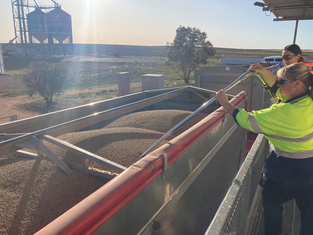 Harvest officially under way in SA post image