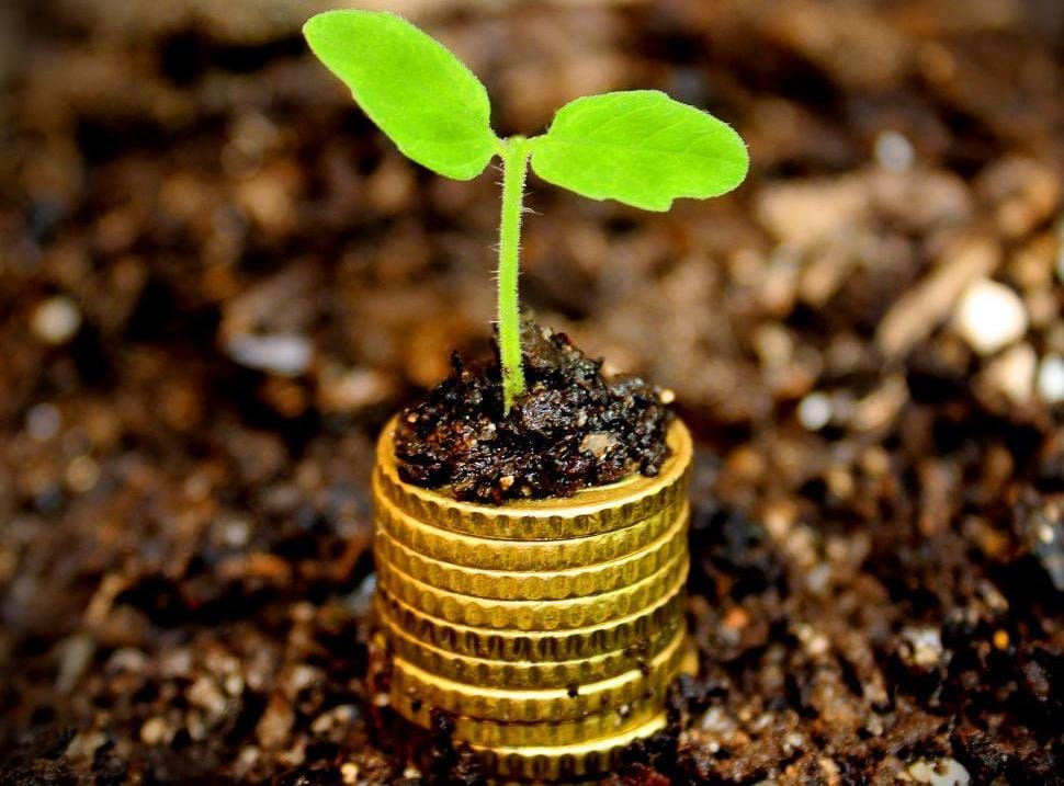 Strong 2021-22 farm financial performance post image