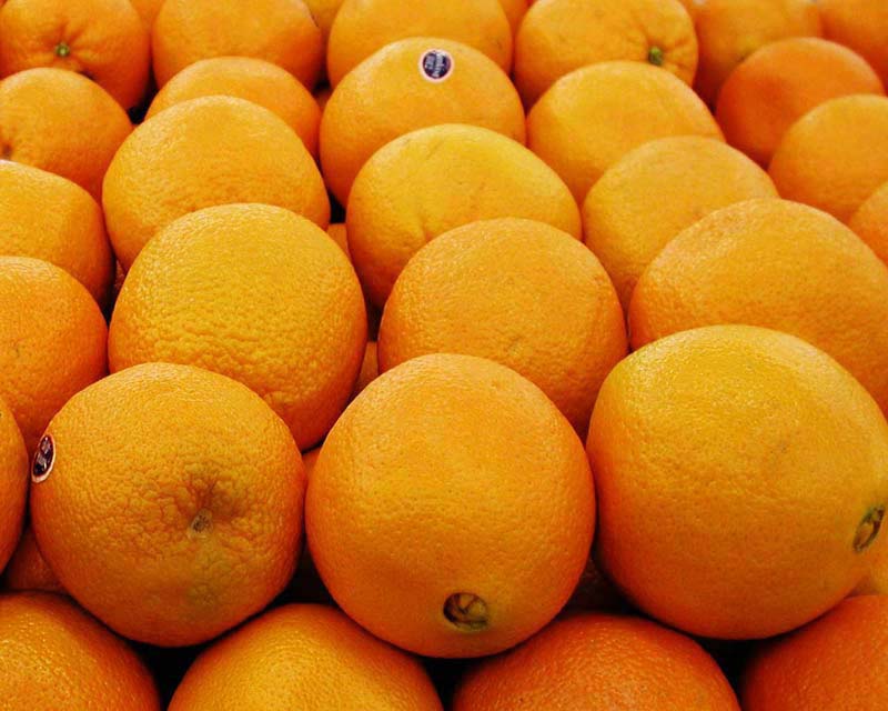 Citrus SA: Shipping and costs updates post image