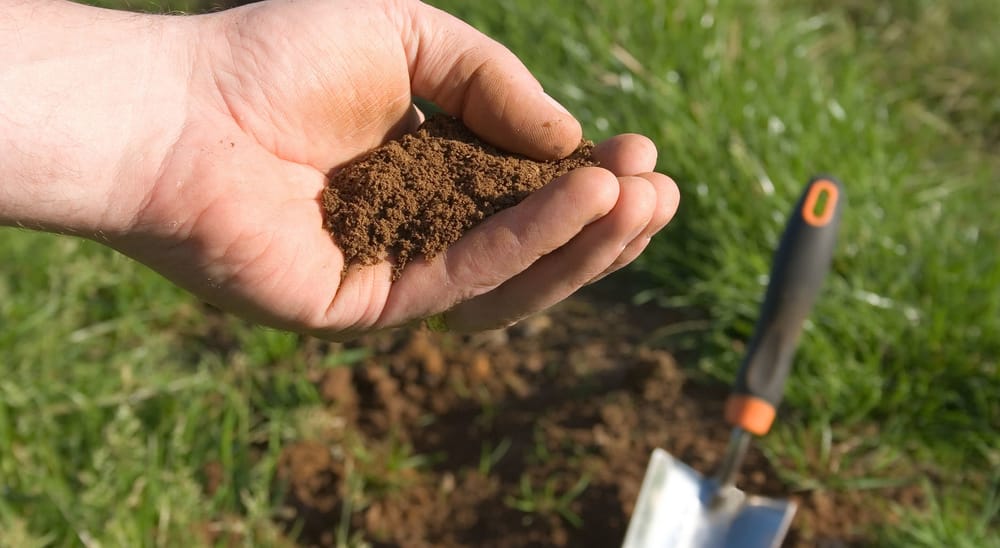 Crop rotation study yields important results post image