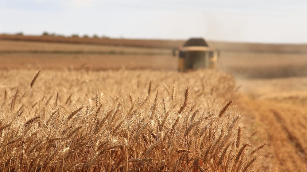 US ties drive SA exports record high post image