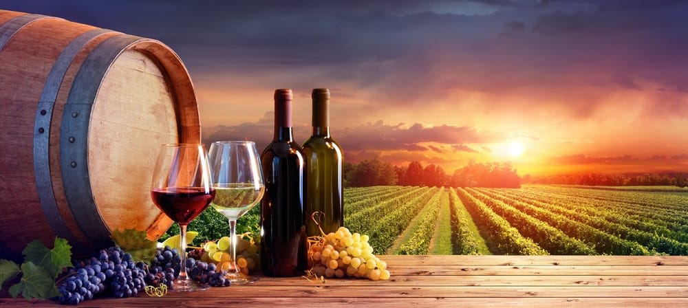 WEA helping South Aussies known, and enjoy wine post image