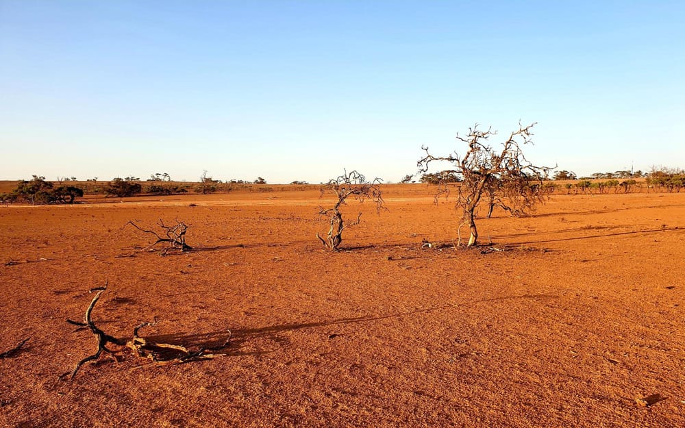 Practical podcasts for drought preparedness post image