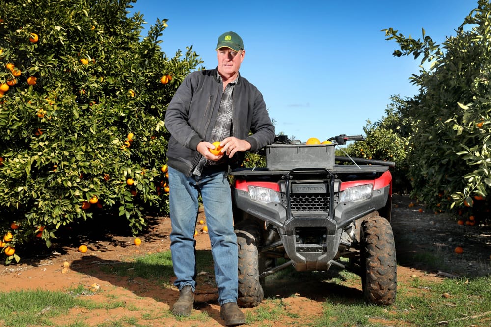 Industry expert update: Mark Doecke post image