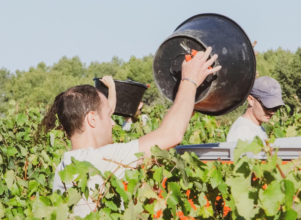 Fast-tracked seasonal harvest accommodation post image