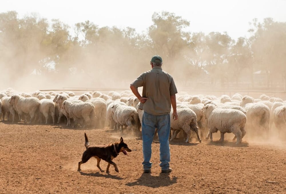 Grassroots support Taking Stock of farmers’ mental health post image
