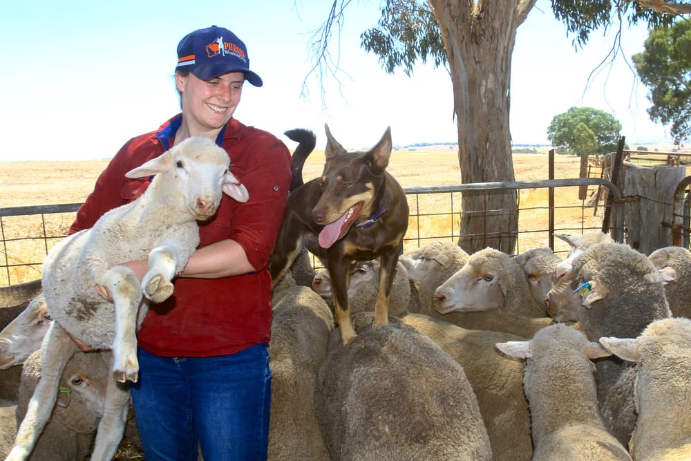 Cody thrilled and fulfilled after swapping aged care for agriculture post image