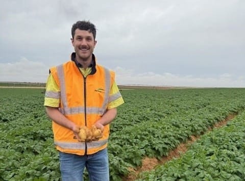 Mallee shortfall adds to spud sparsity post image