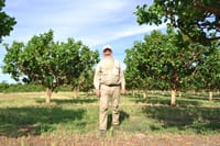 Permedah’s pistachios go nuts post image