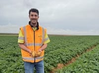 Mallee shortfall adds to spud sparsity post image