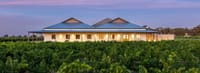 Spinifex Wines continues to reach new heights post image